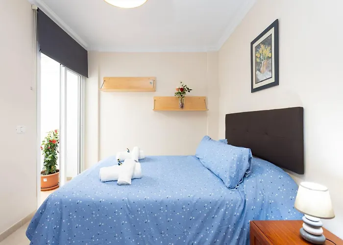 Buganvilla La Laguna (Tenerife)