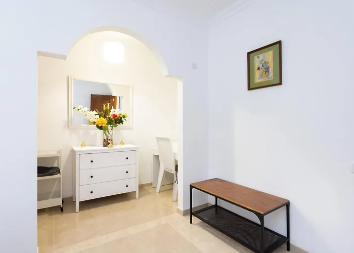 Buganvilla La Laguna (Tenerife)