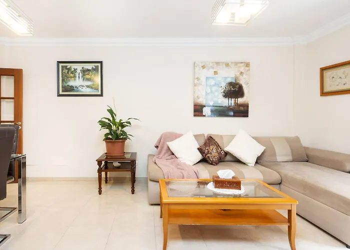 Buganvilla サン・クリストバル・デ・ラ・ラグーナ